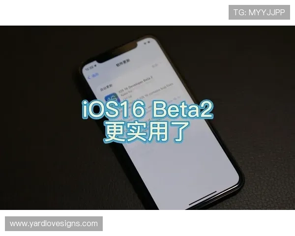 九游老哥论坛怎么进提升访问速度与安全性的方法与实用建议 九游老哥论坛怎么进提升访问速度与安全性的方法与实用建议